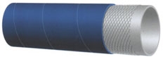 BIOVAST306